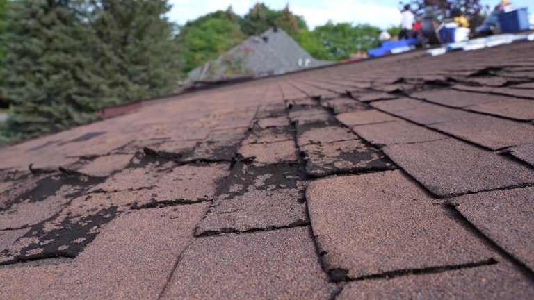 Best Gutter Installation and Repair  in Lake Delta, NY